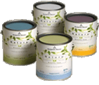 NuCoat Painting