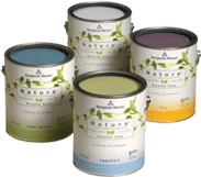 NuCoat Painting