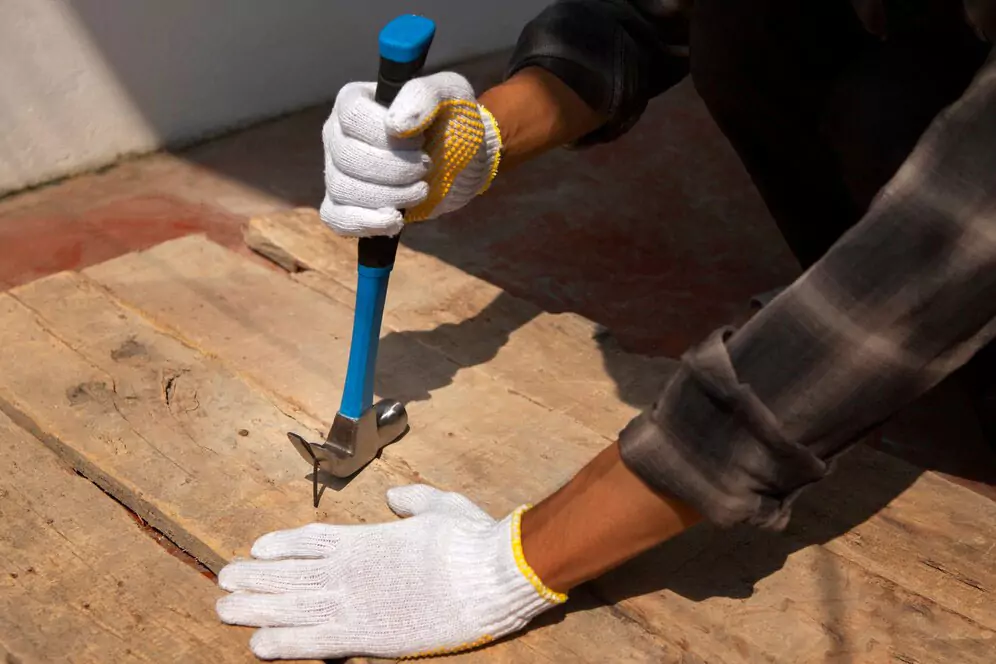 Dry Rot Repair Services